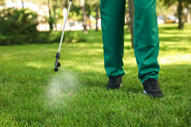 Reliable Brevard, NC Pest Control Solutions