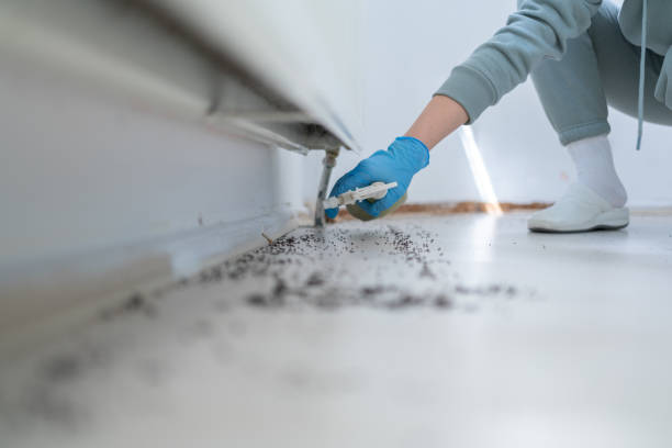 Wildlife Control Services in Brevard, NC